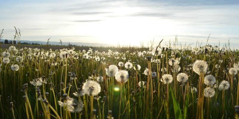 P4语言：揭秘可编程交换机的核心技术，前端开发者也能理解的网络革命