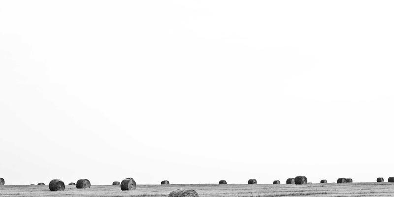 从零到精通：2024年前端开发者必须掌握的三大核心技术栈