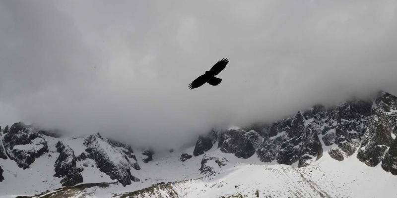 服务网格实战指南：深度解析Istio与Envoy如何解耦并重塑微服务通信